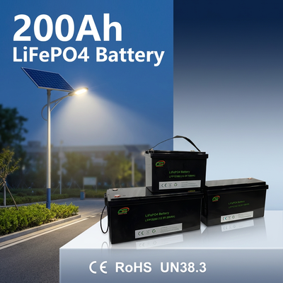 Batteria LiFePO4 a ciclo ultra-lungo 8000 batteria 12.8/25.6V 100Ah Smart BMS Protection batteria per auto elettrica